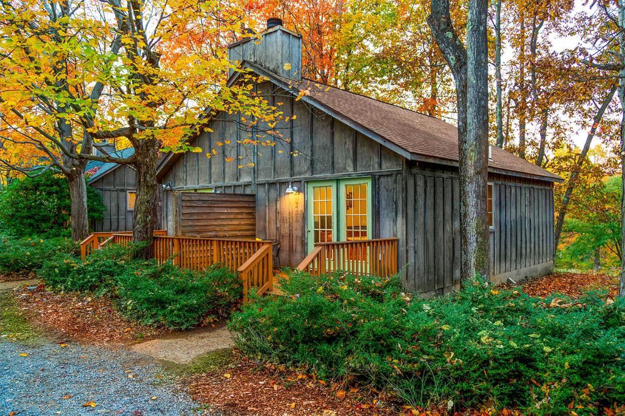 Love Ridge Mountain Lodging Lyndhurst Kültér fotó