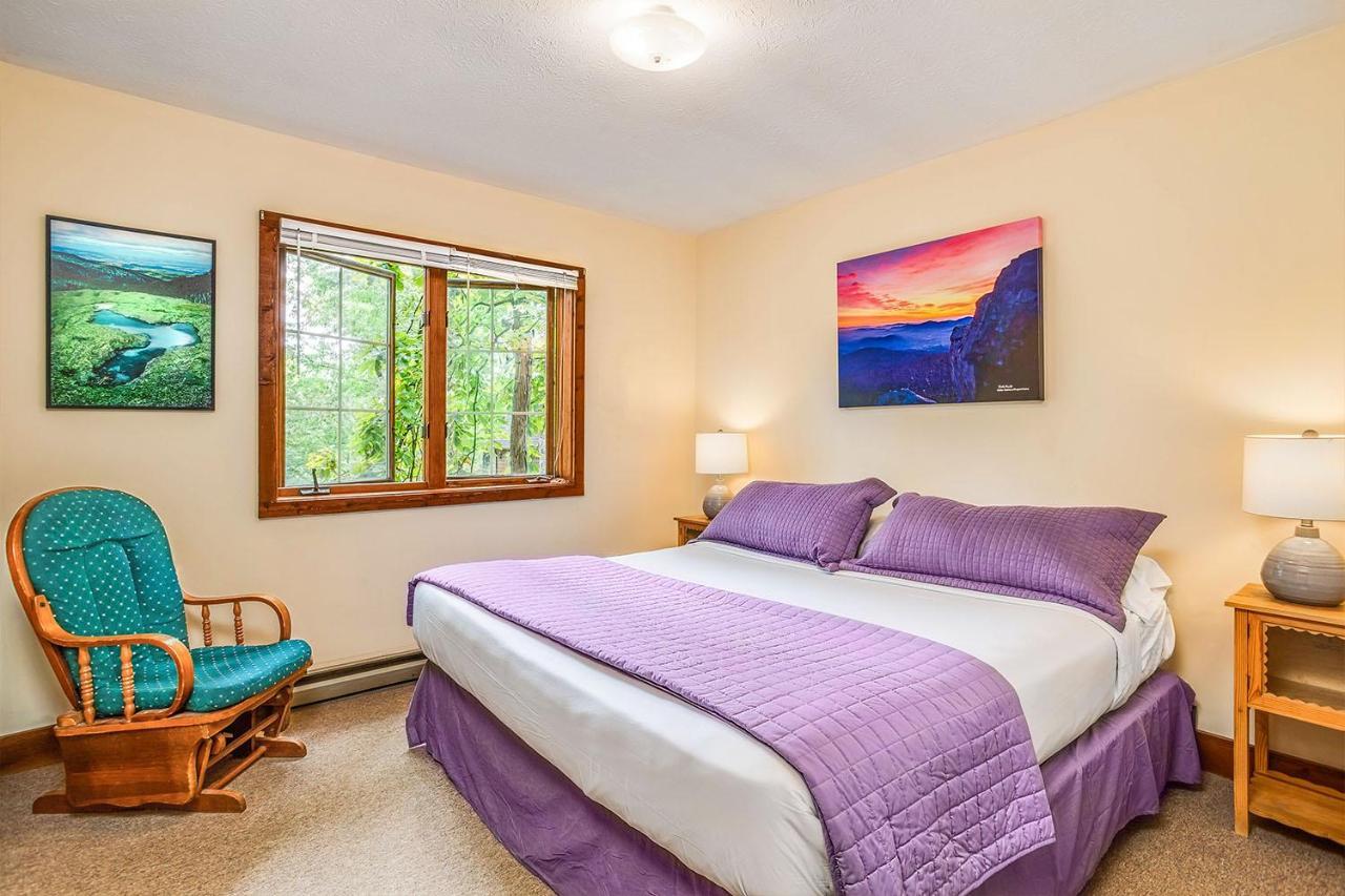 Love Ridge Mountain Lodging Lyndhurst Kültér fotó