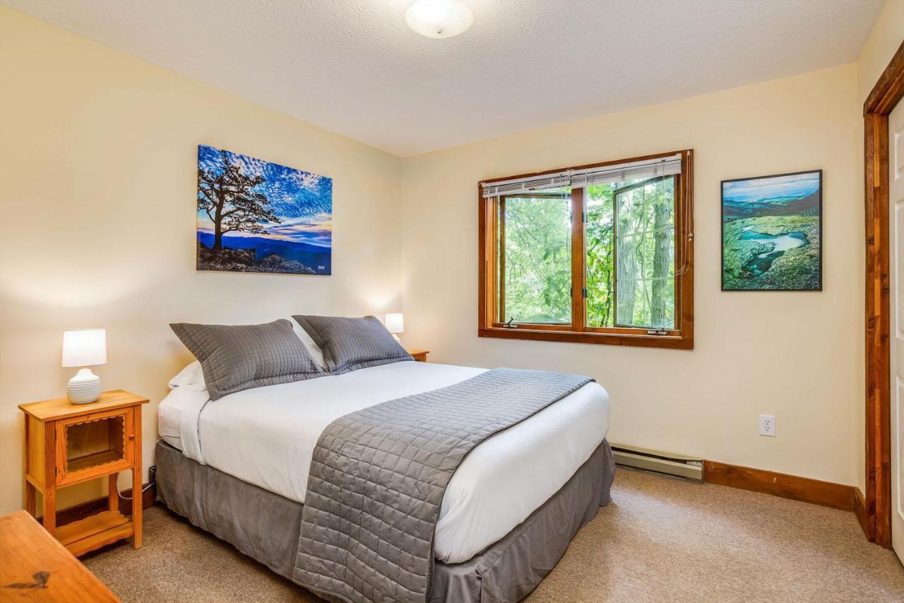 Love Ridge Mountain Lodging Lyndhurst Kültér fotó